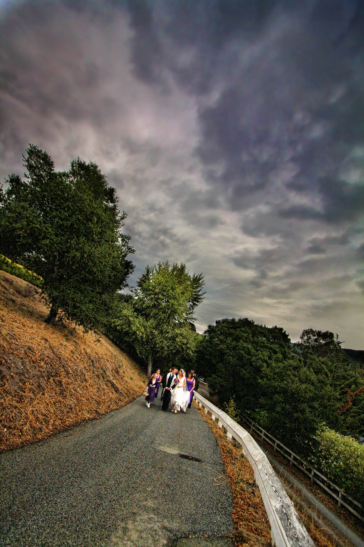 San Francisco Wedding Photography